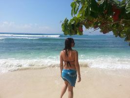Radhanagar Beach