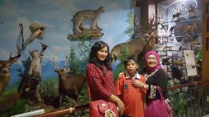 Wildlife Museum