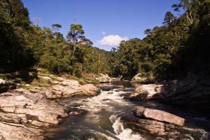 Ranomafana National Park