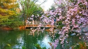Kariya Park