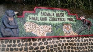 Padmaja Naidu Himalayan Zoological Park