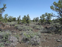 Craters of the Moon National Monument & Reserves 