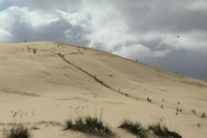 Surfing On Sand Dunes