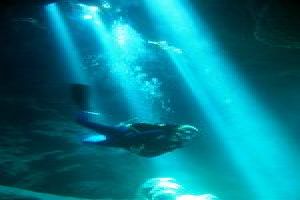 Scuba Diving: Discover The Underwater World