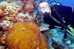 Scuba Diving Into Depths