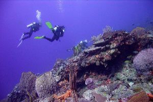 Looking For More Fun?: Scuba Diving