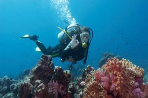 Experience the thrill of Scuba Diving