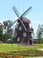 Suncheon Bay National Garden