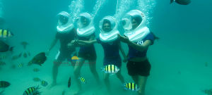 Sea Walking