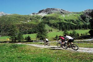 Cycling Through Picturesque Route