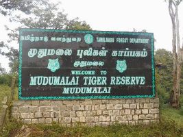 Mudumalai National Park