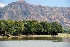 South Luangwa National Park