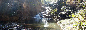 Spread Eagle Falls