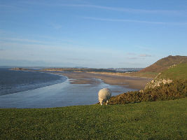 Gower Paninsula 