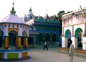 Sarbhang Ashram 
