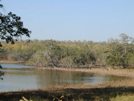 Tadoba Lake