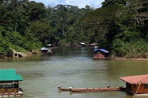 Bird Watching in Taman Negara