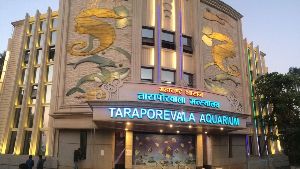 taraporewala aquarium