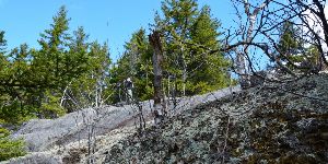 Adirondack Experience