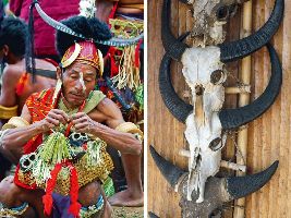 Hornbill Festival at Kisama Village