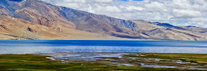 Tso moriri lake