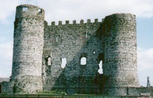 Carlow Castle