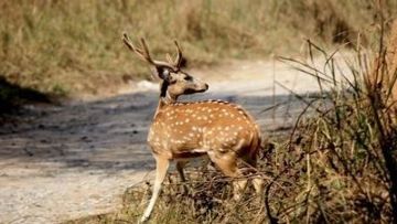 3 Days A Hearty Welcome At Nainital, Sattal Bhimtal Naukuchiyatal Tour with Bid Adieu To The Beautiful City Of Nainital Tour Package