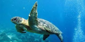 Magical 4 Days 3 Nights Jammu Holiday Package