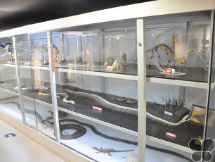 Memorable 2 Days 1 Night Manipal Religious Tour Package