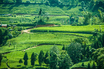 ilam activities similar