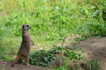 2 Days 1 Night Best Things To Do In Ooty and Back To Home Tour Package