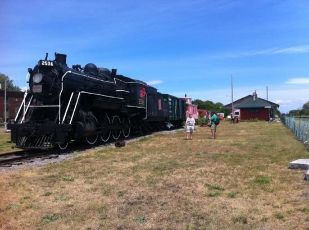 5 Days & 4 Nights GANGTOK  DARJEELING Tour