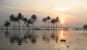 Ecstatic 2 Days 1 Night arrive cochin-alleppey with drop you at airport railway station Tour Package