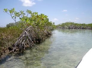 Beautiful 4 Days 3 Nights mexico Trip Package