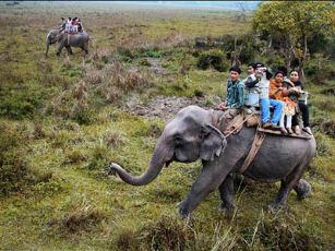 Kaziranga Wildlife Tour Package 3 Days 2 Nights