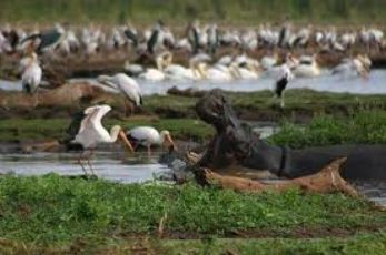 Beautiful 3 Days Arusha, Tanzania and Karatu Vacation Package