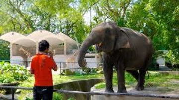 Experience 7 Days Water Park, Malaysia with Singapore Tour Package