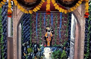  Shrinathji Temple