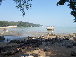 Pantai Teluk Bidara Beach