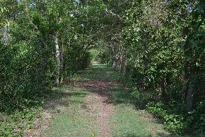 Kuala Selangor Nature Park 