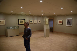 The Mann Art Gallery 