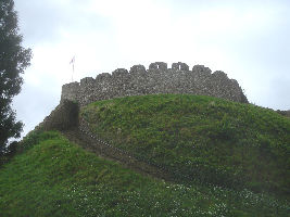  Totnes Castle