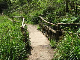 Brockhill Country Park