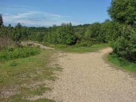 Caesars Camp Bracknell Forest