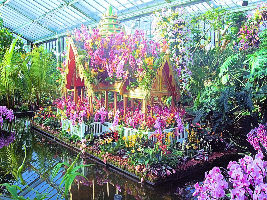 Mackay Orchid House