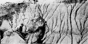 Alberta Sports Hall of Fame and Museum