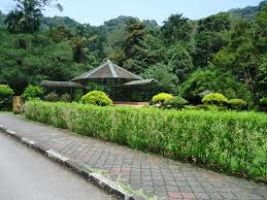 Penang Botanic Gardens