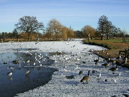 Heart-warming 4 Days 3 Nights Victoria Luxury Trip Package