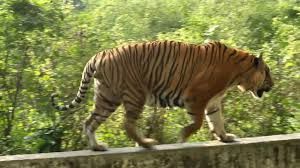 Bangladesh National Zoo