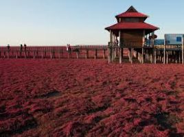 Red Beach   